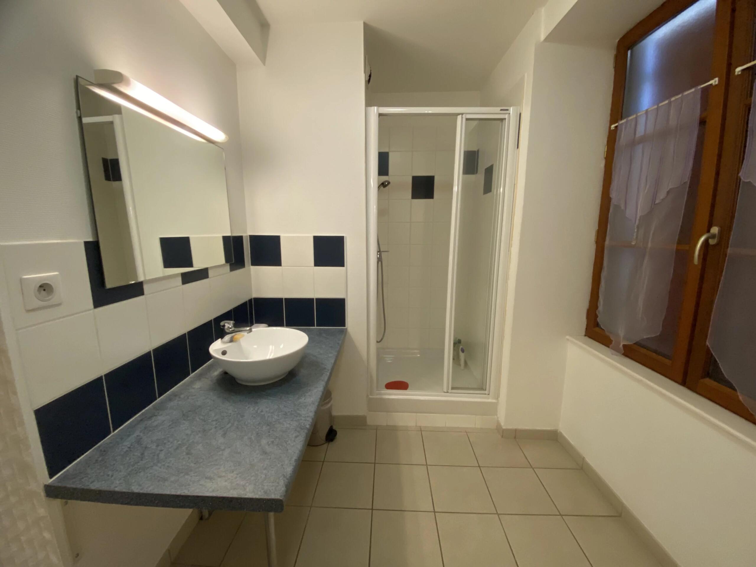 Spacious Village Property with Holiday Let Opportunity, Poitou-Charentes – France – BVI84982