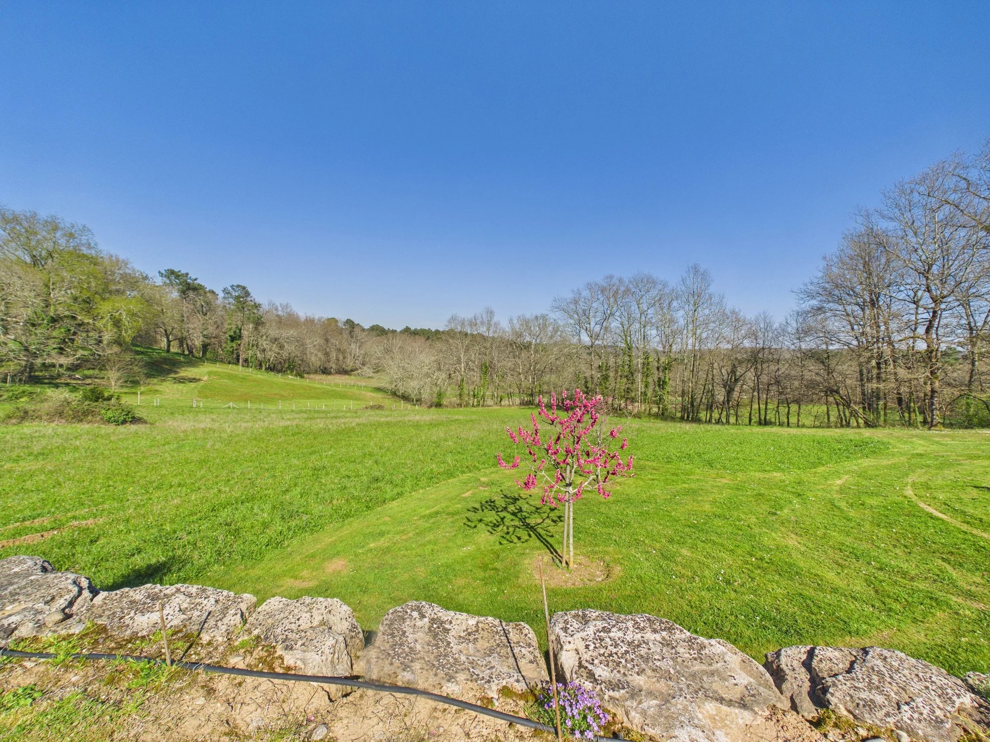 Charming stone property in a countryside location close to amenities, Aquitaine – France – BVI82519