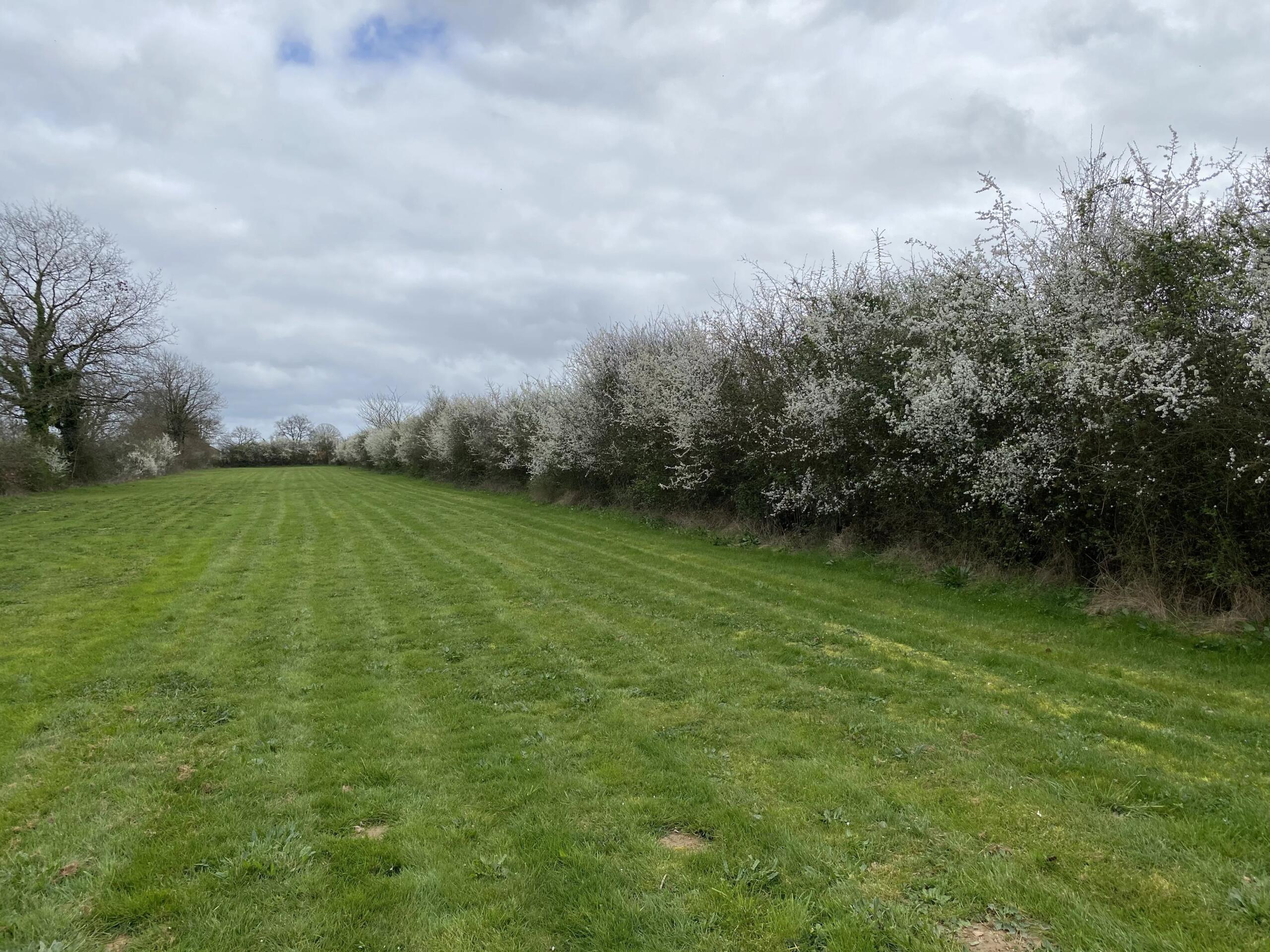 Wonderful Private Retreat, Poitou-Charentes – France – BVI80901