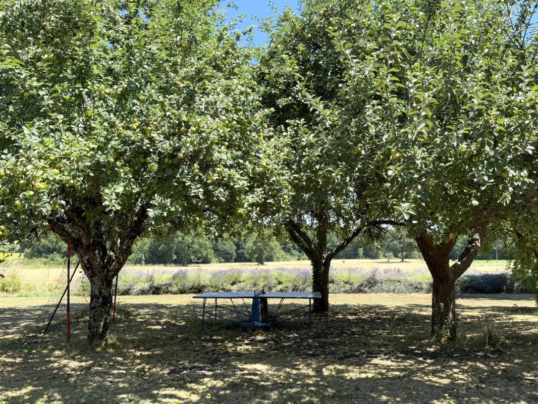 4 bedroom maison in Bellon, Charente, France