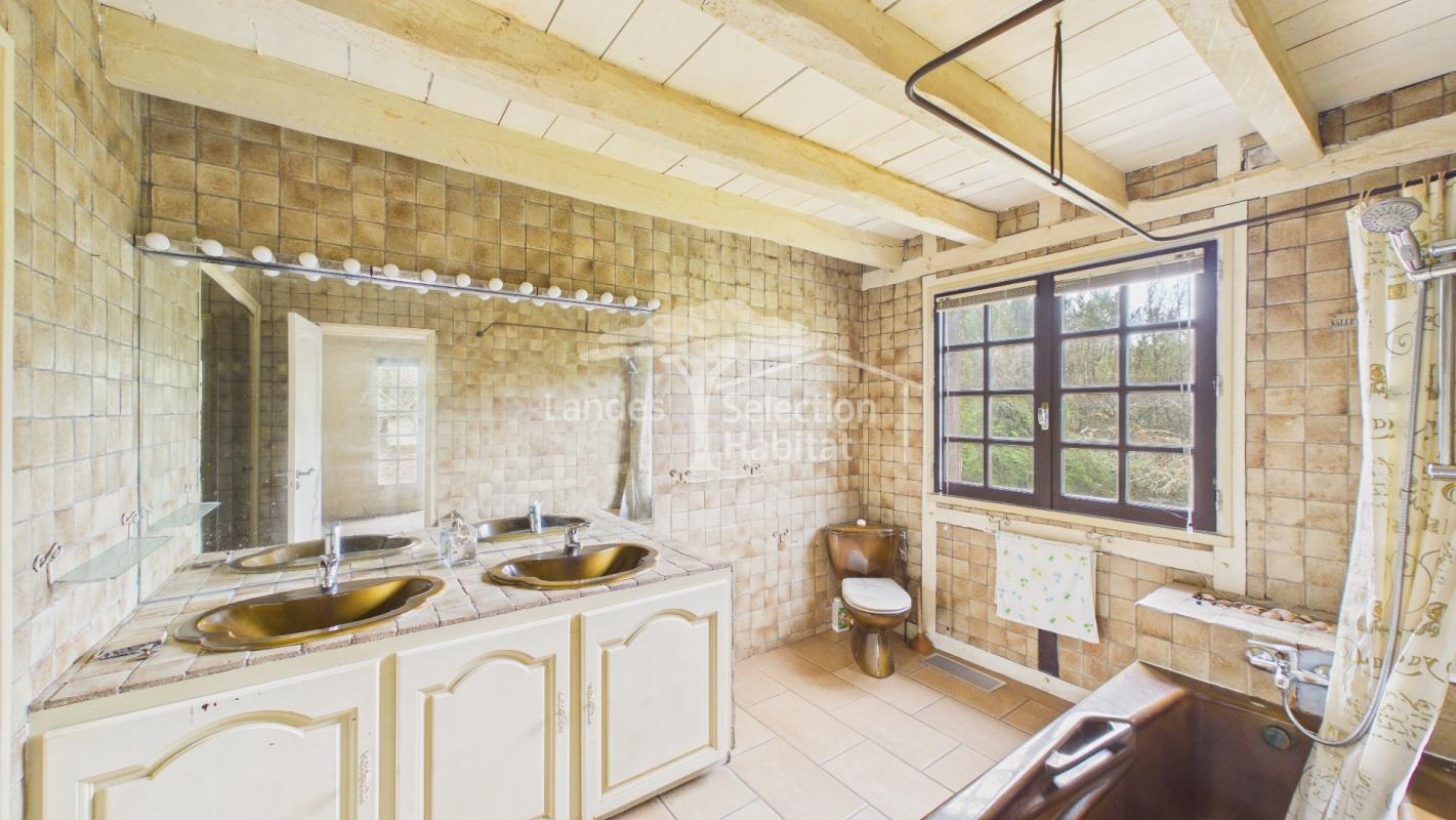 7 bedroom propriete in Mazerolles, Landes, France