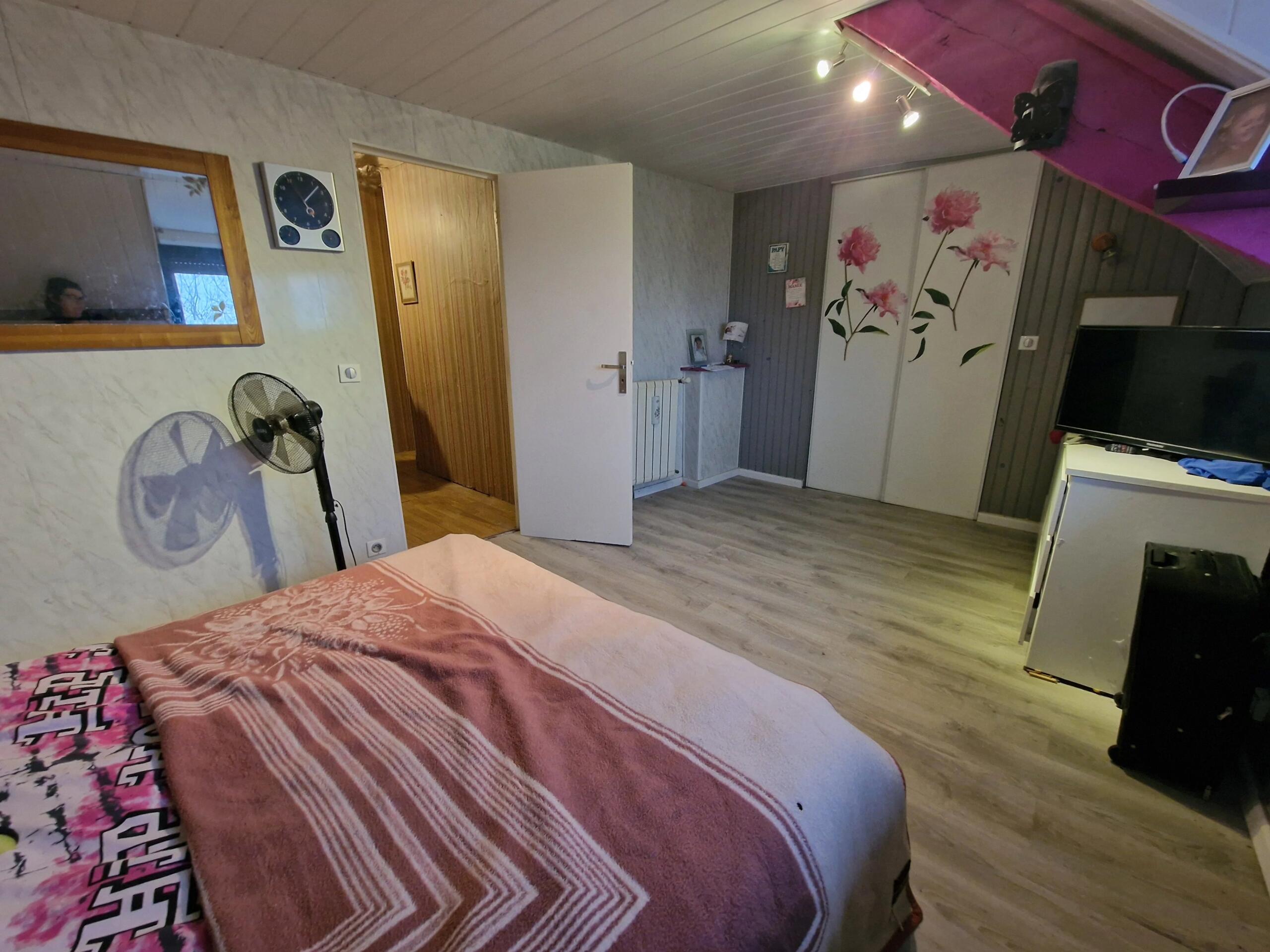 Village stone house with Pyrenees views – a project worth the effort, Aquitaine – France – BVI84233