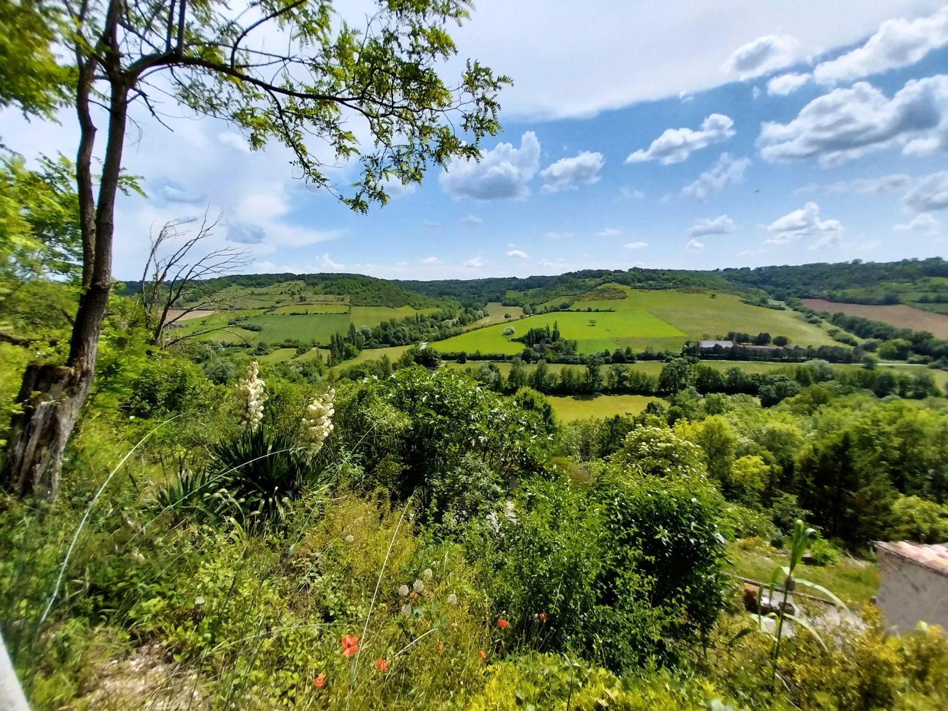 Renovated Village House + Apartment, Midi-Pyrénées – France – BVI60863