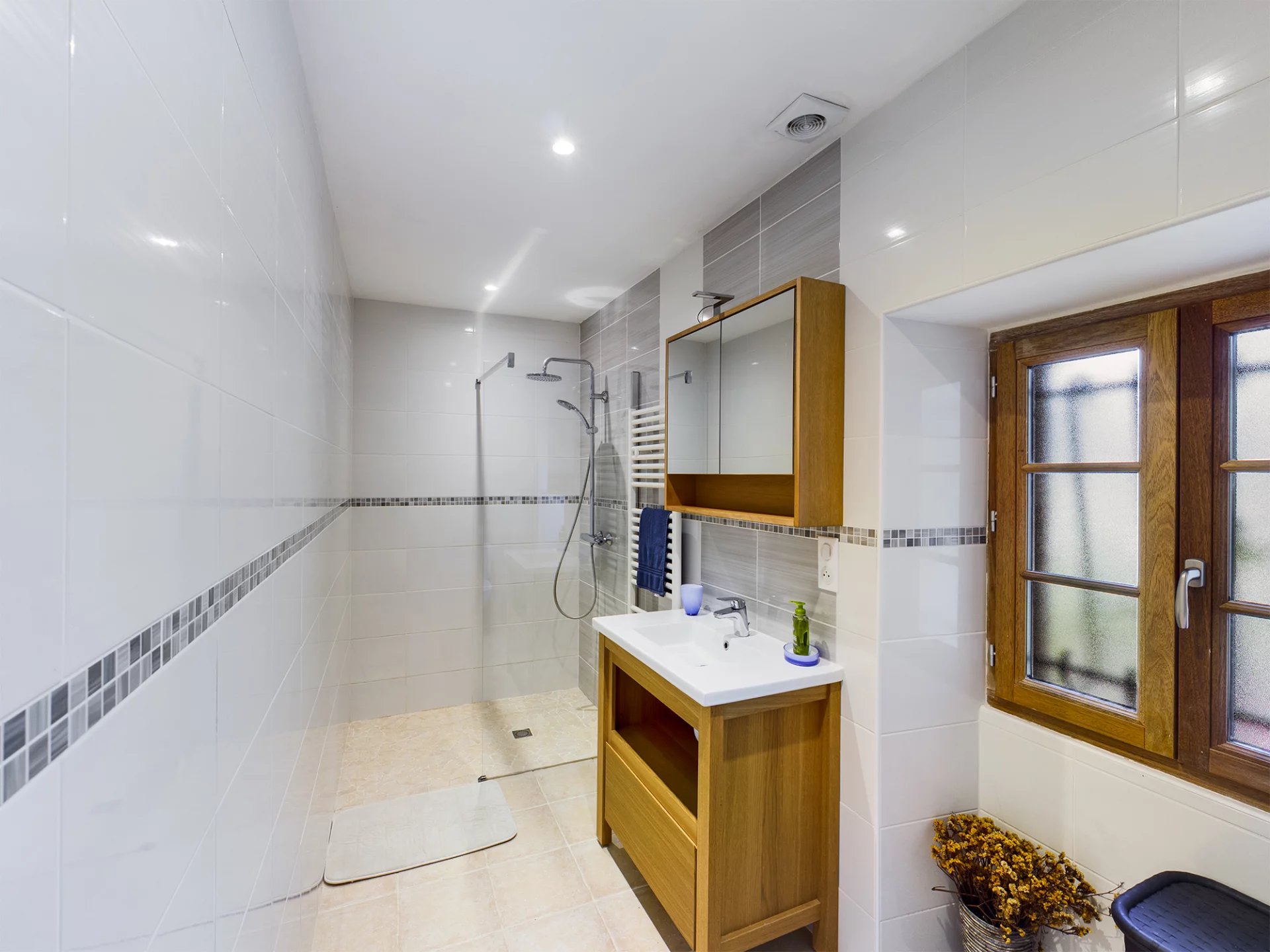 Renovated Village House + Apartment, Midi-Pyrénées – France – BVI60863