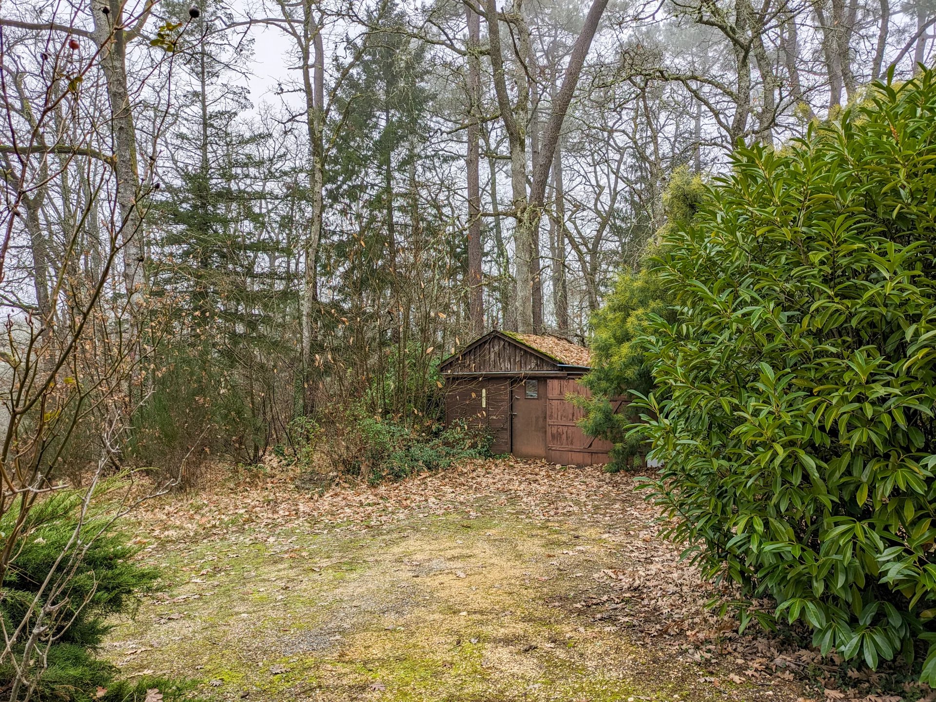 Countryside bungalow with guest space and 1.6 ha, Midi-Pyrénées – France – BVI71062