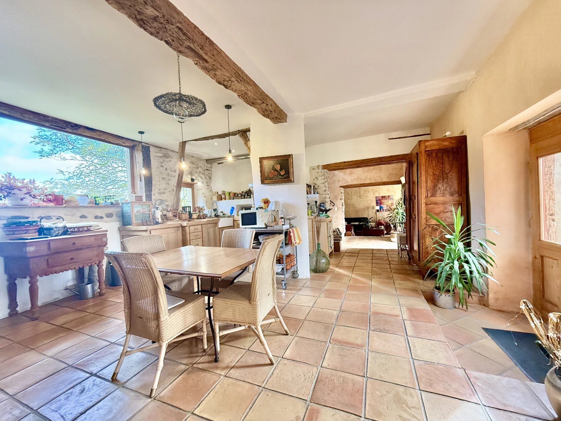 Charming farmhouse in rural setting with gites, Languedoc-Roussillon – France – BVI77442