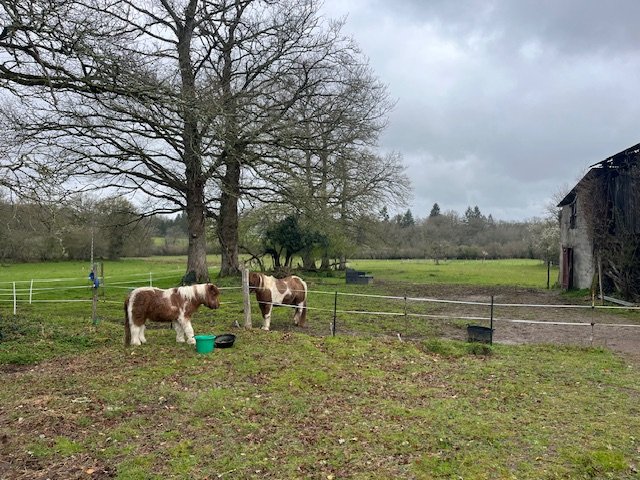 3 bedroom corps de ferme in Saint Laurent Sur Gorre, Haute-Vienne, France