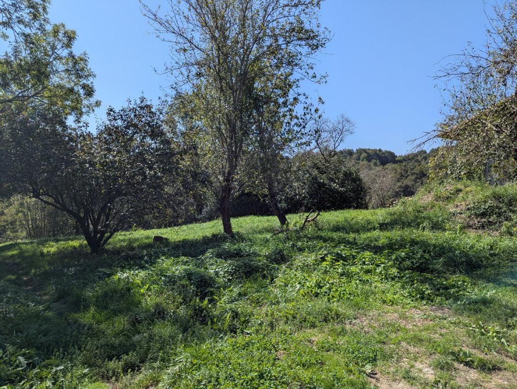 2 bedroom maison de village in Le Mas D’azil, Ariège, France