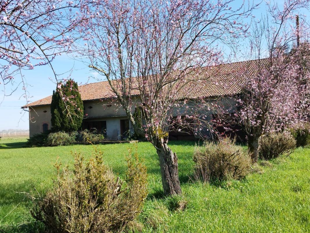 6 bedroom propriete in Montauban, Tarn-et-Garonne, France