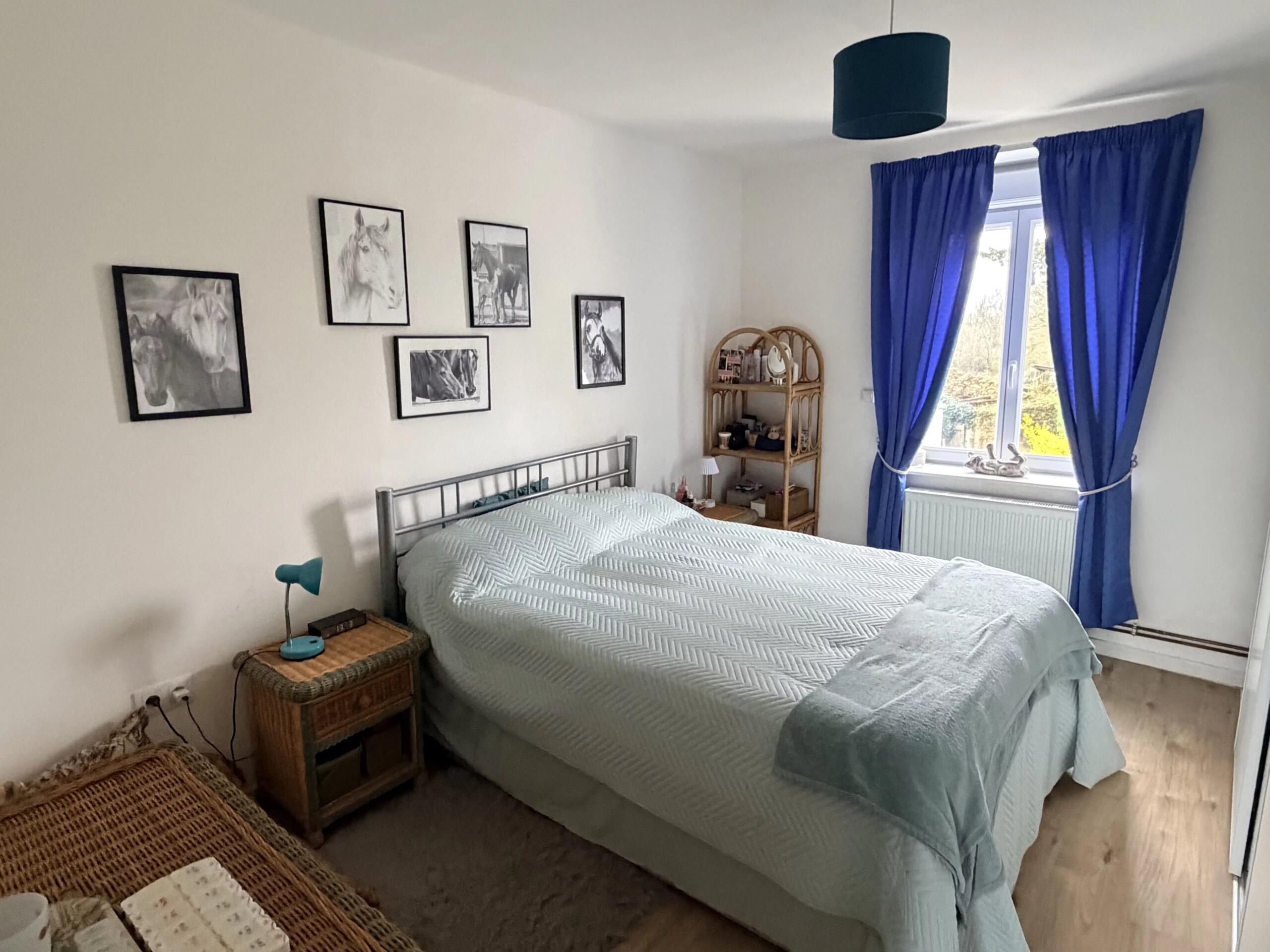 Countryside house with attached guest house, land and paddocks, Limousin – France – BVI84990