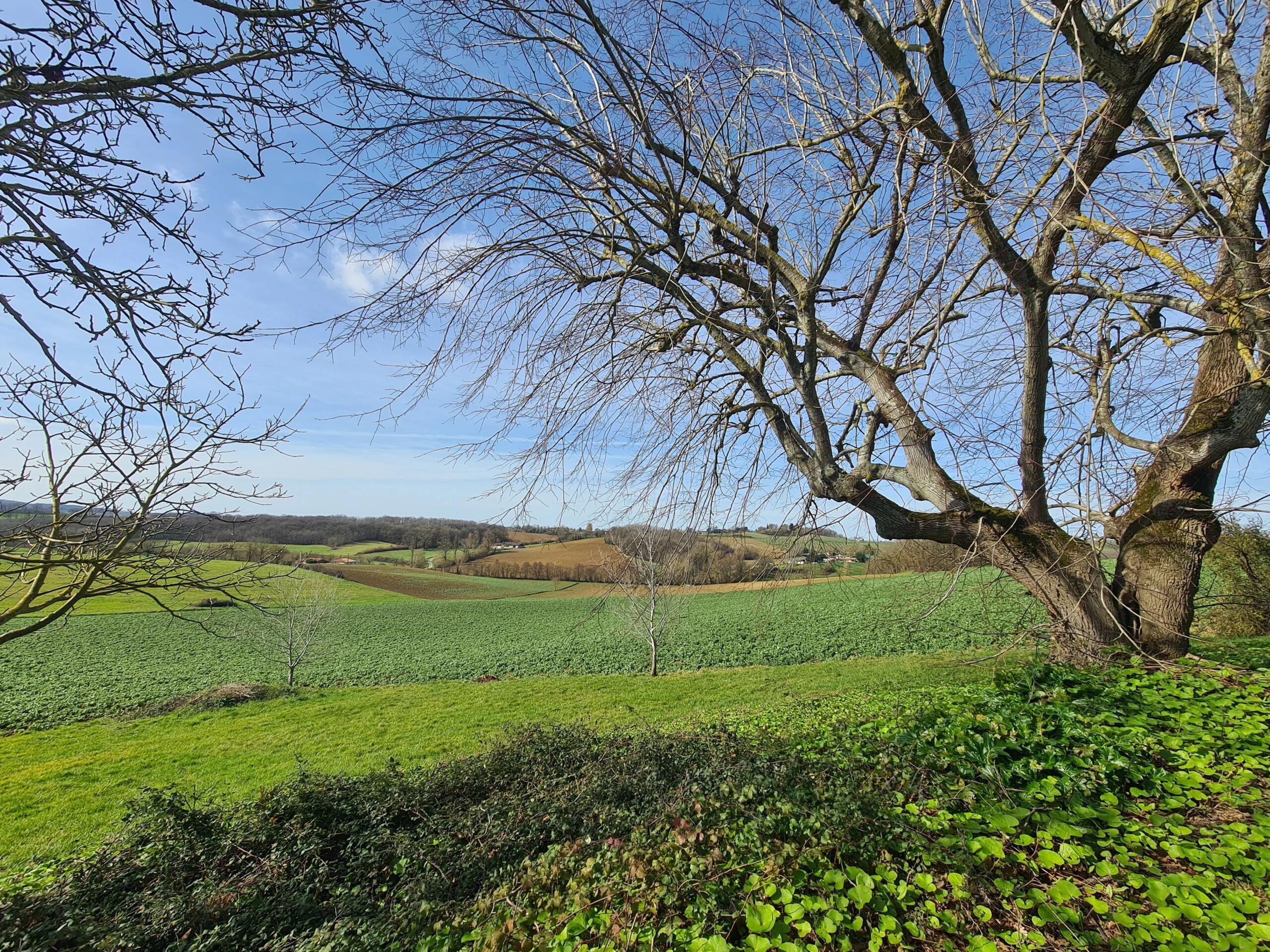 Beautiful Single-Level 3-bedroom Home with Panoramic Views, Aquitaine – France – BVI84553