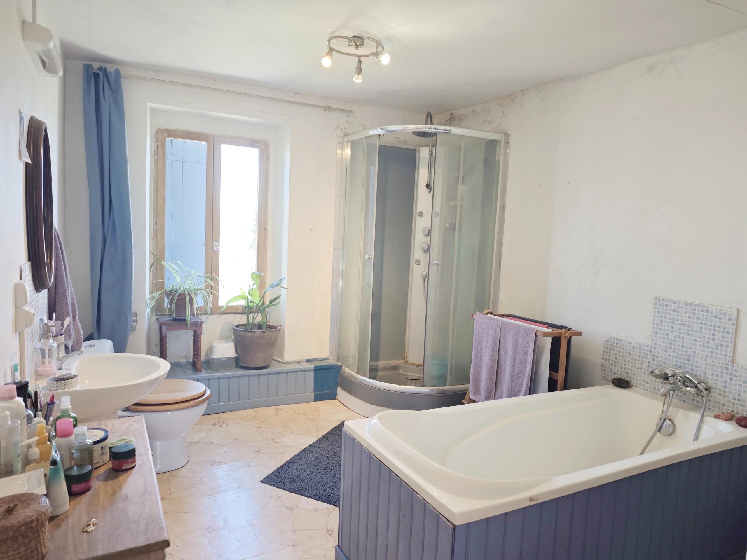 Former winegrowers house with attached barn and various parcels of land, Languedoc-Roussillon – France – BVI84435