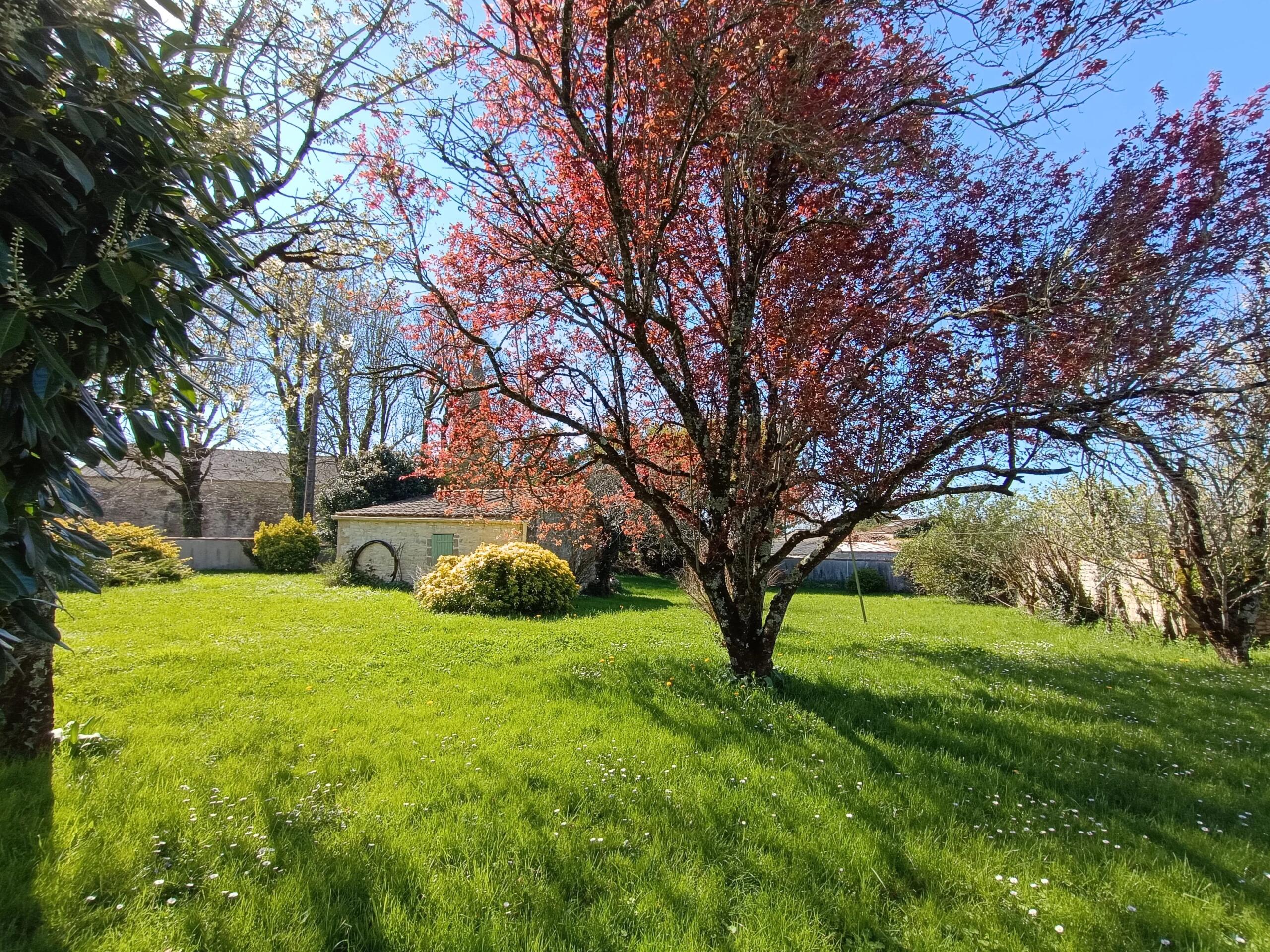 Pretty stone village house with annexe, Poitou-Charentes – France – BVI84115