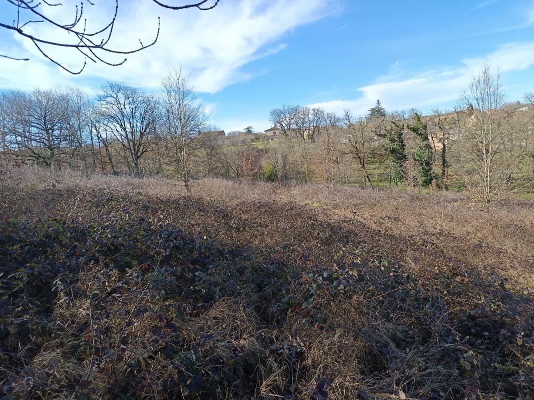 terrain in Mirandol Bourgnounac, Tarn, France