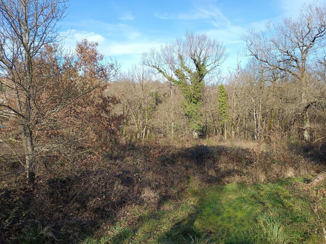 terrain in Mirandol Bourgnounac, Tarn, France