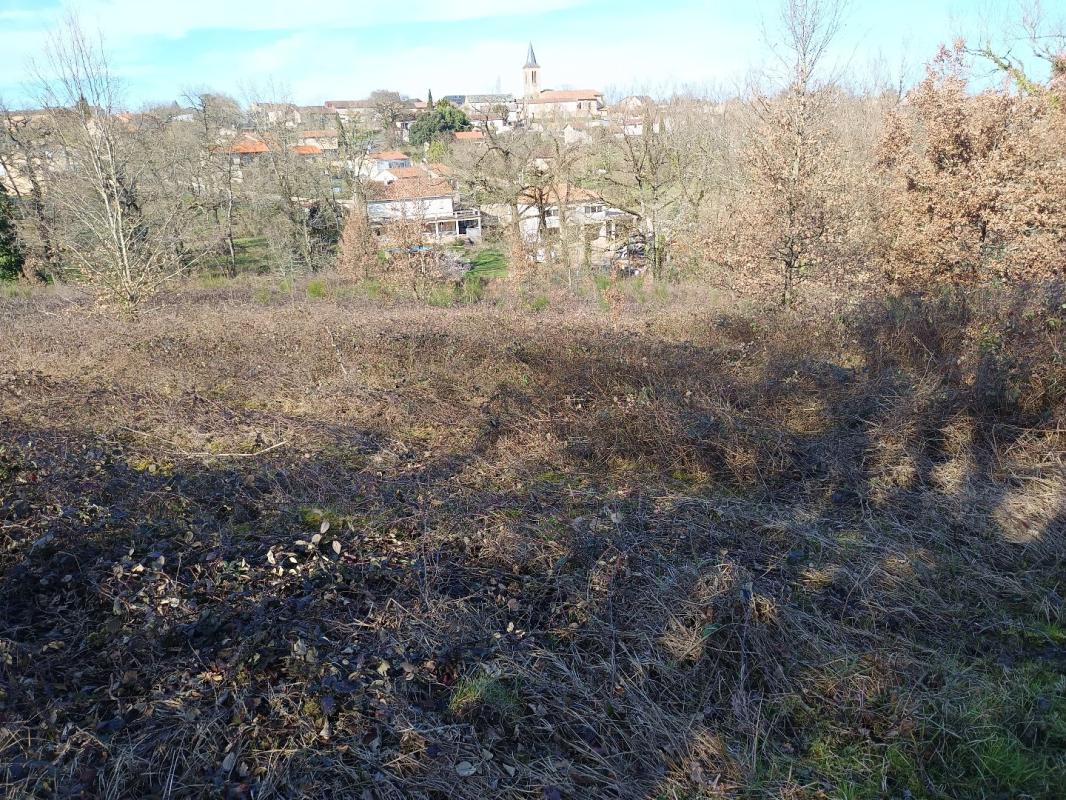 terrain in Mirandol Bourgnounac, Tarn, France