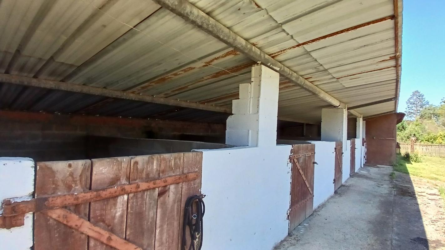 6 bedroom propriete equestre in Mimbaste, Landes, France
