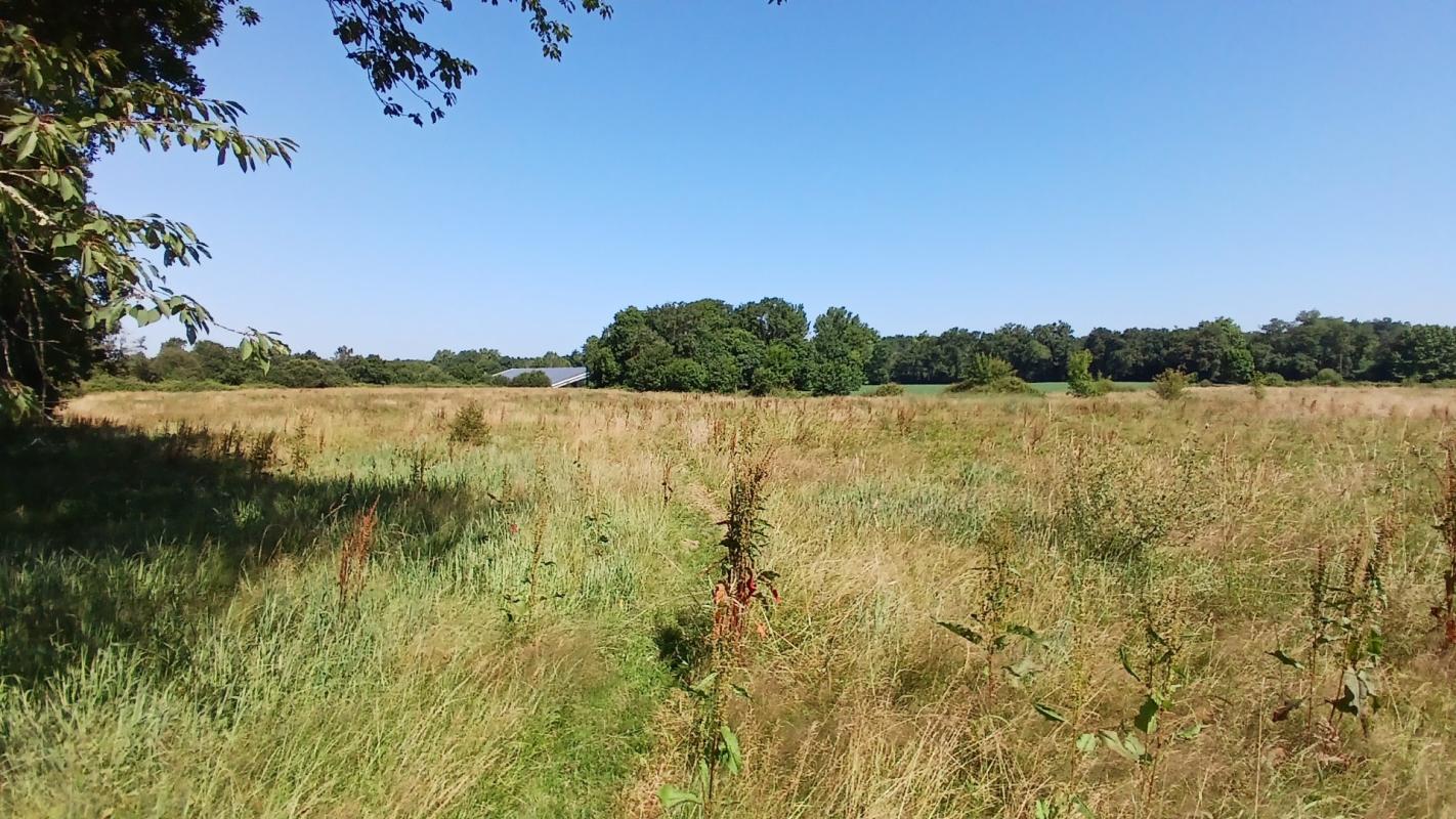 6 bedroom propriete equestre in Mimbaste, Landes, France