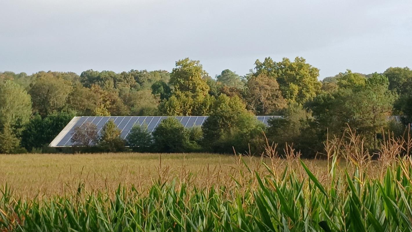 6 bedroom propriete equestre in Mimbaste, Landes, France