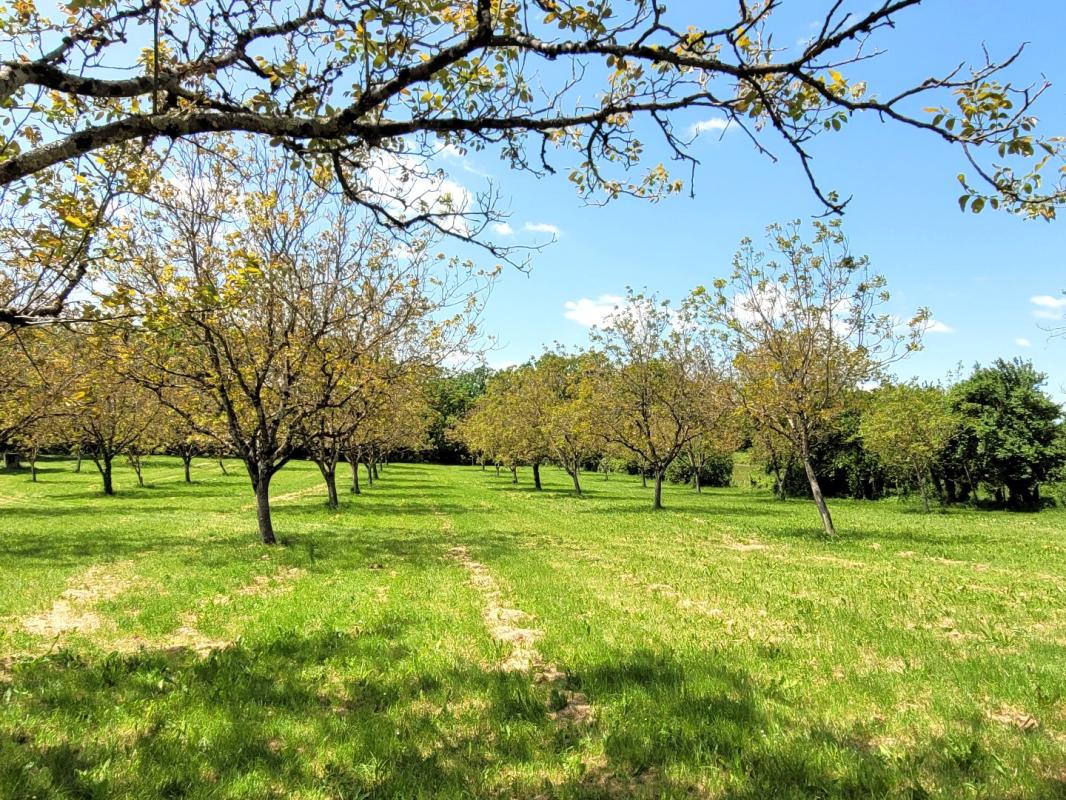 9 bedroom maison in Lissac Et Mouret, Lot, France