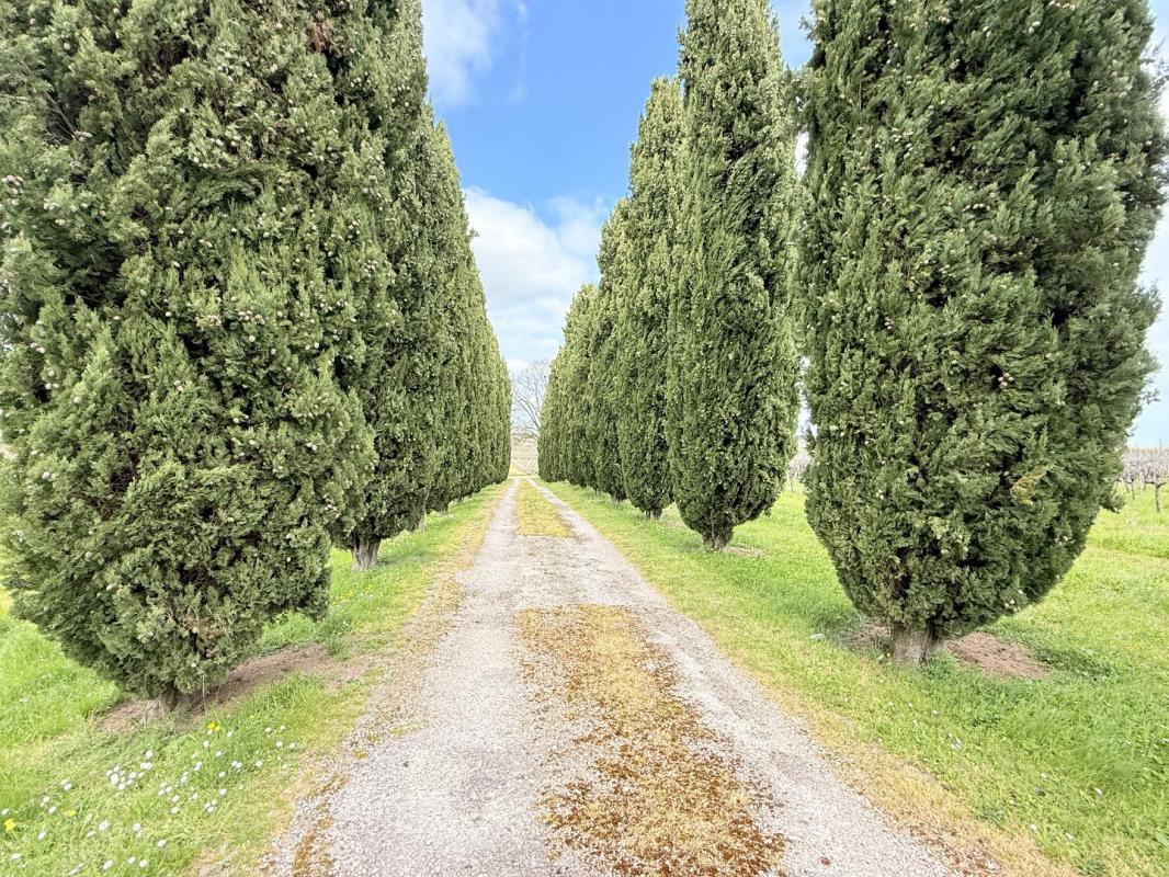 8 bedroom propriete in Chateauneuf Sur Charente, Charente, France