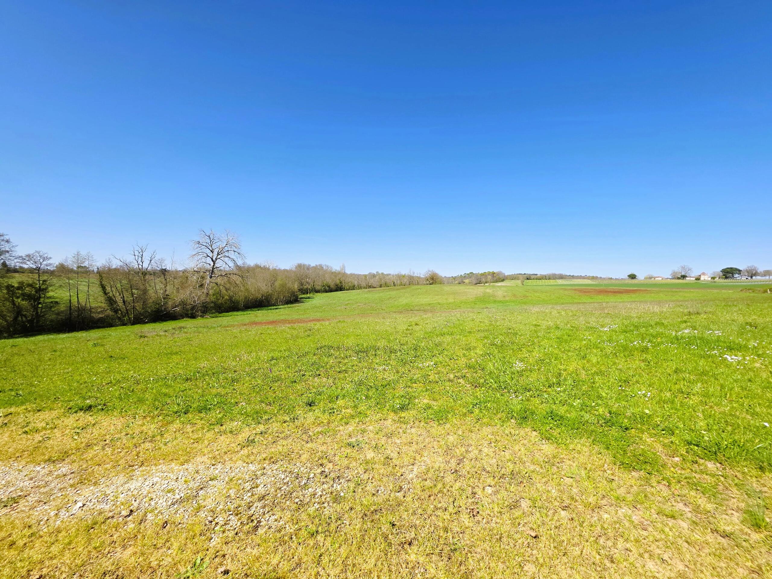 Farming land for sale closeby to Monségur, Aquitaine – France – BVI84865