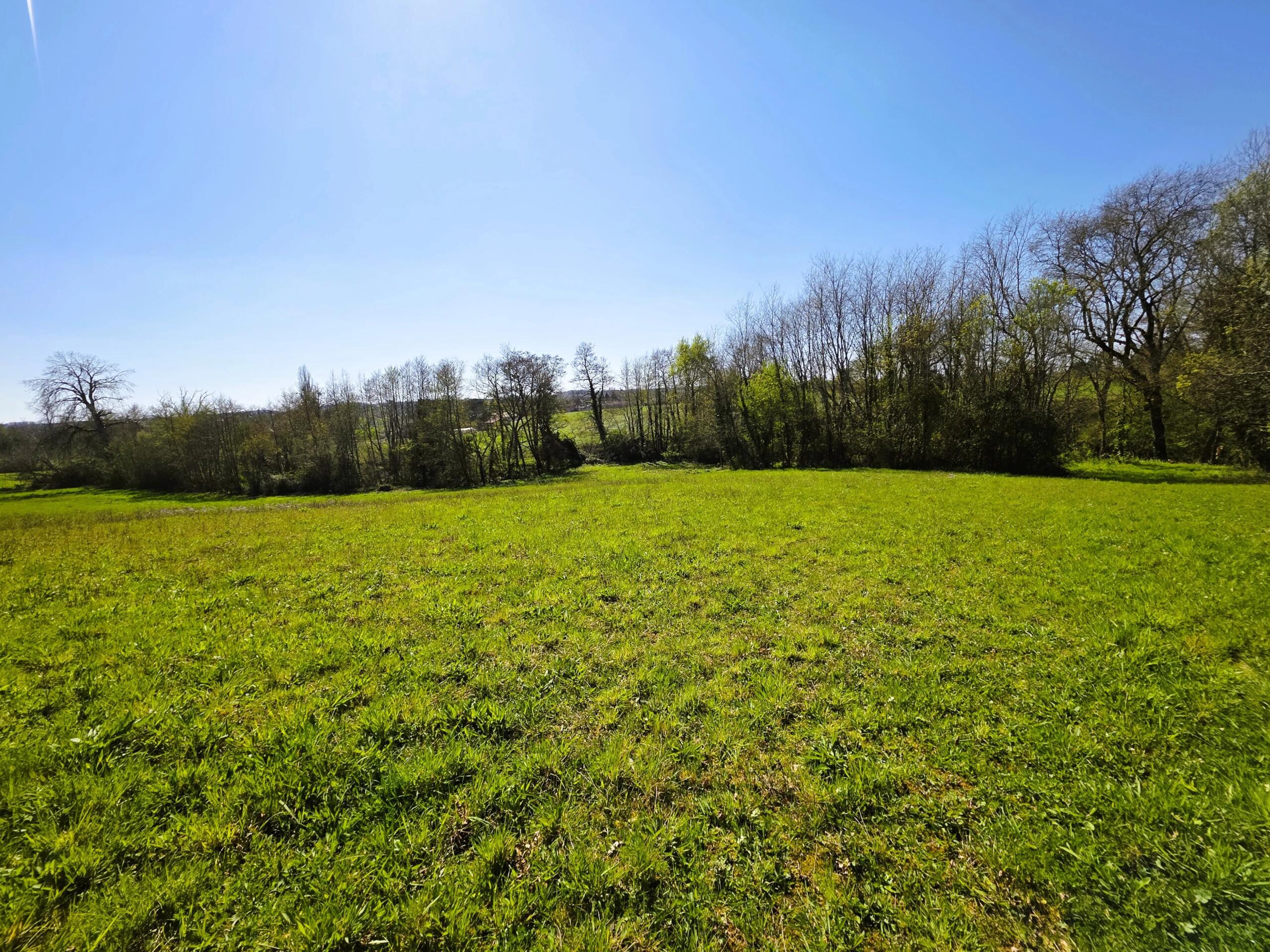 Farming land for sale closeby to Monségur, Aquitaine – France – BVI84865