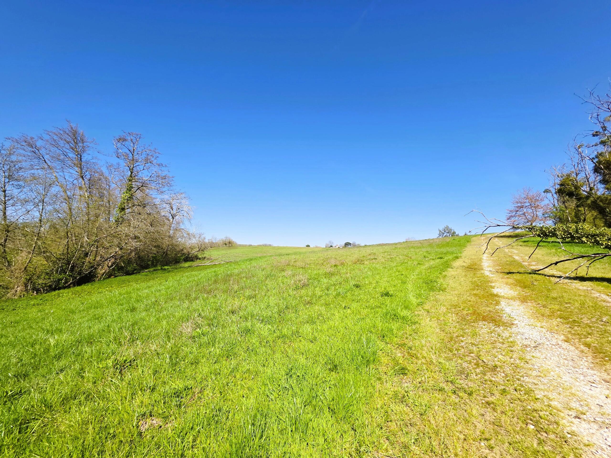 Farming land for sale closeby to Monségur, Aquitaine – France – BVI84865