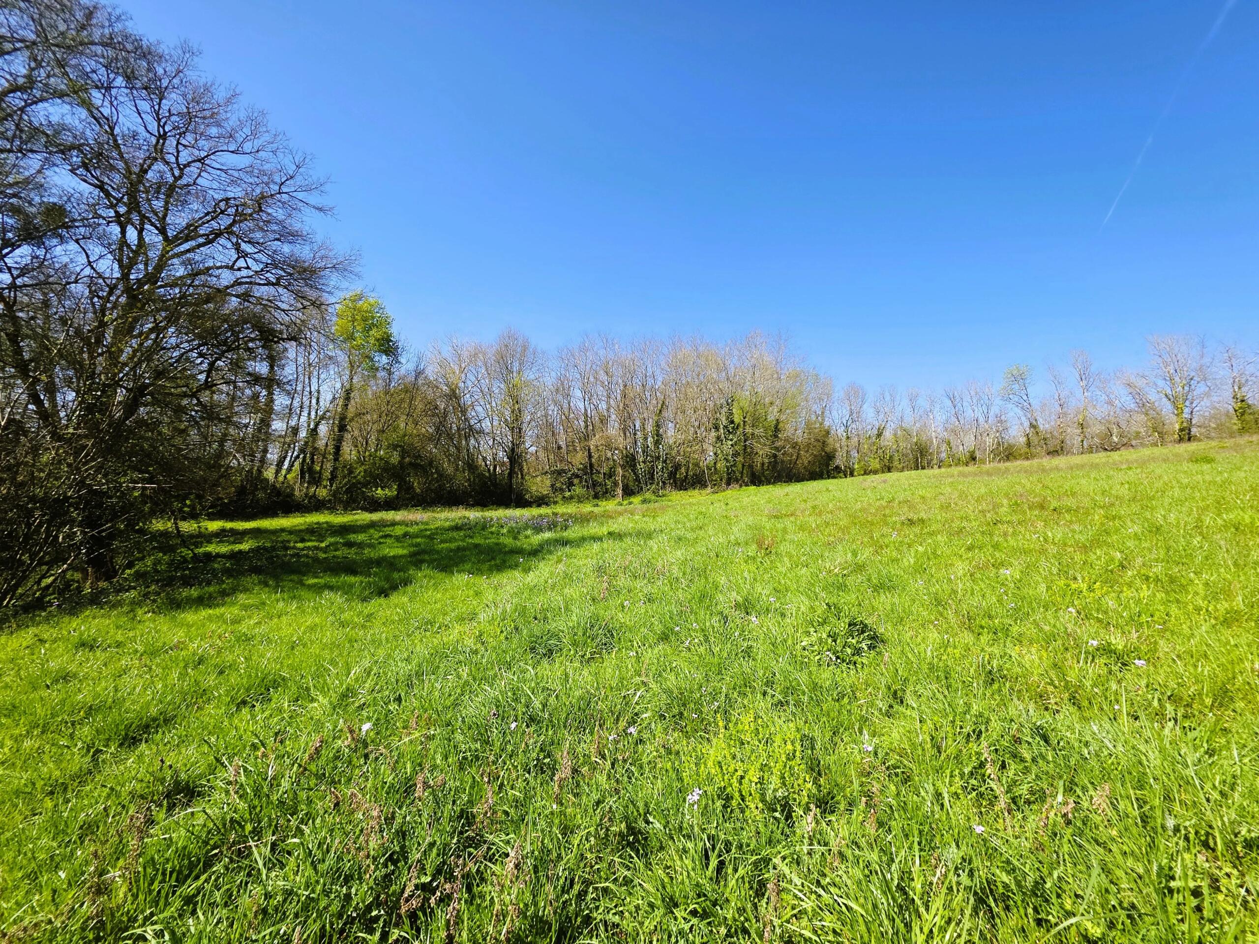 Farming land for sale closeby to Monségur, Aquitaine – France – BVI84865