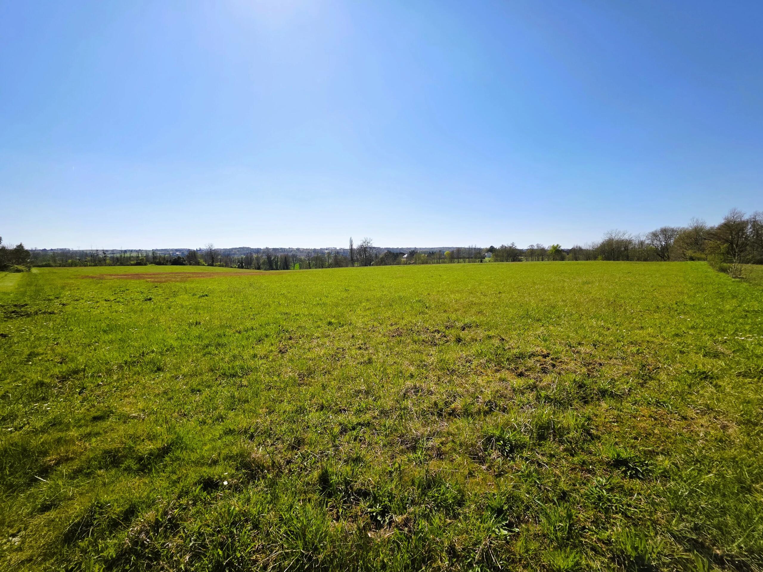 Farming land for sale closeby to Monségur, Aquitaine – France – BVI84865