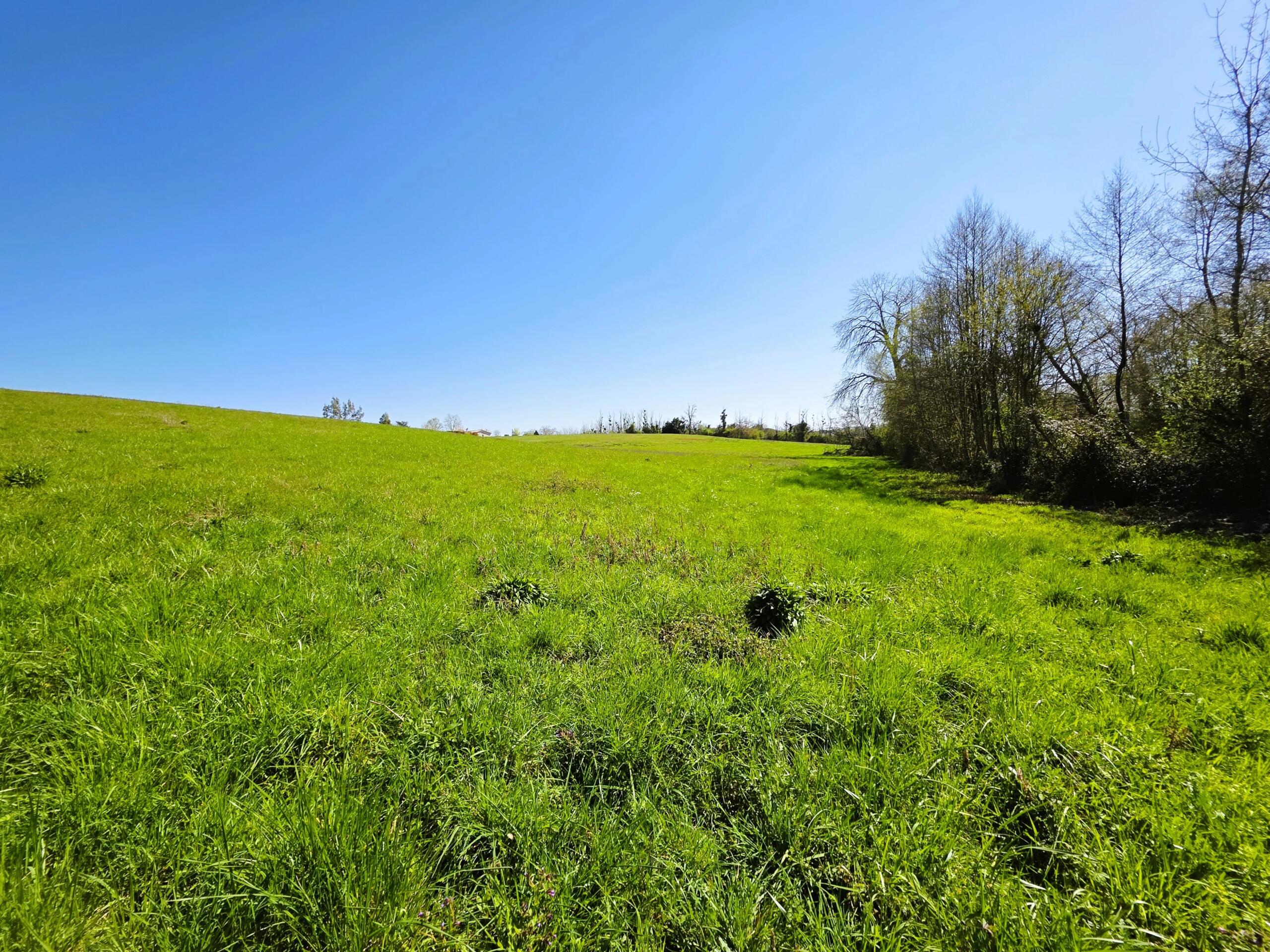 Farming land for sale closeby to Monségur, Aquitaine – France – BVI84865