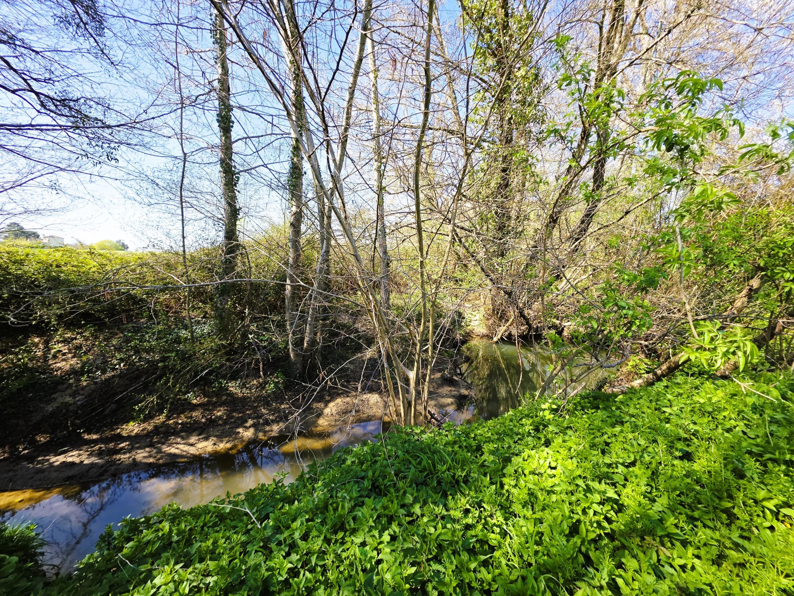 Farming land for sale closeby to Monségur, Aquitaine – France – BVI84865