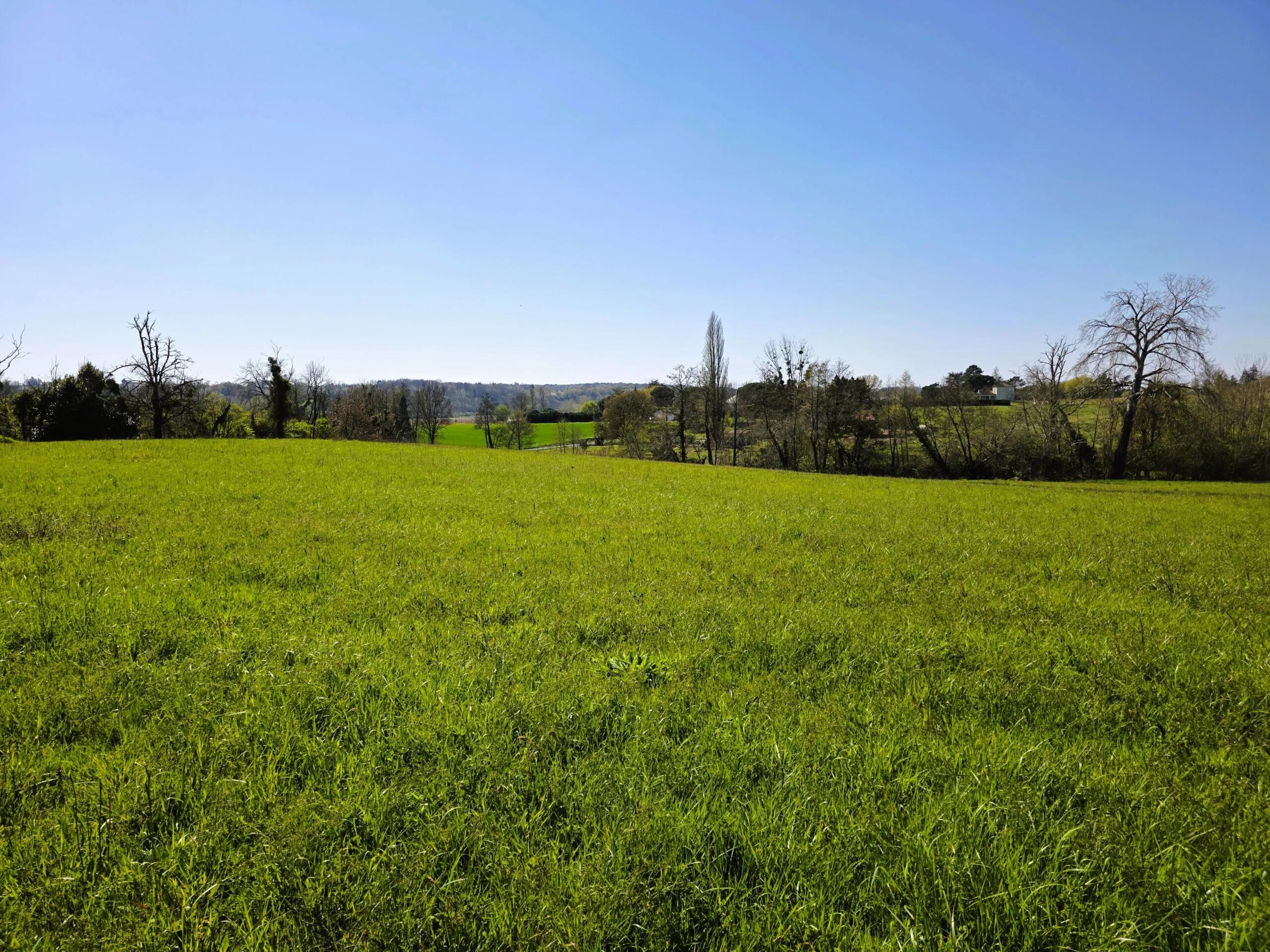 Farming land for sale closeby to Monségur, Aquitaine – France – BVI84865