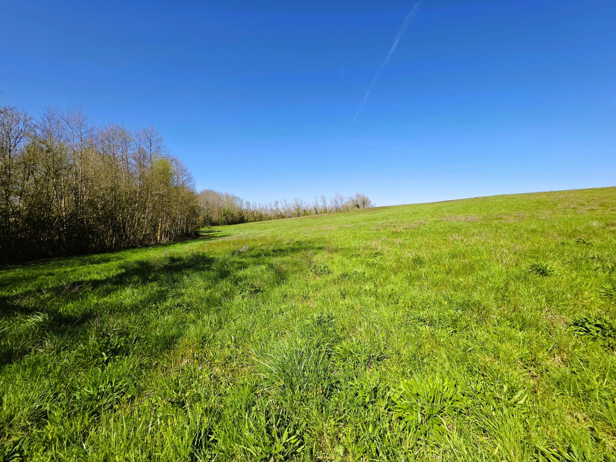 Farming land for sale closeby to Monségur, Aquitaine – France – BVI84865