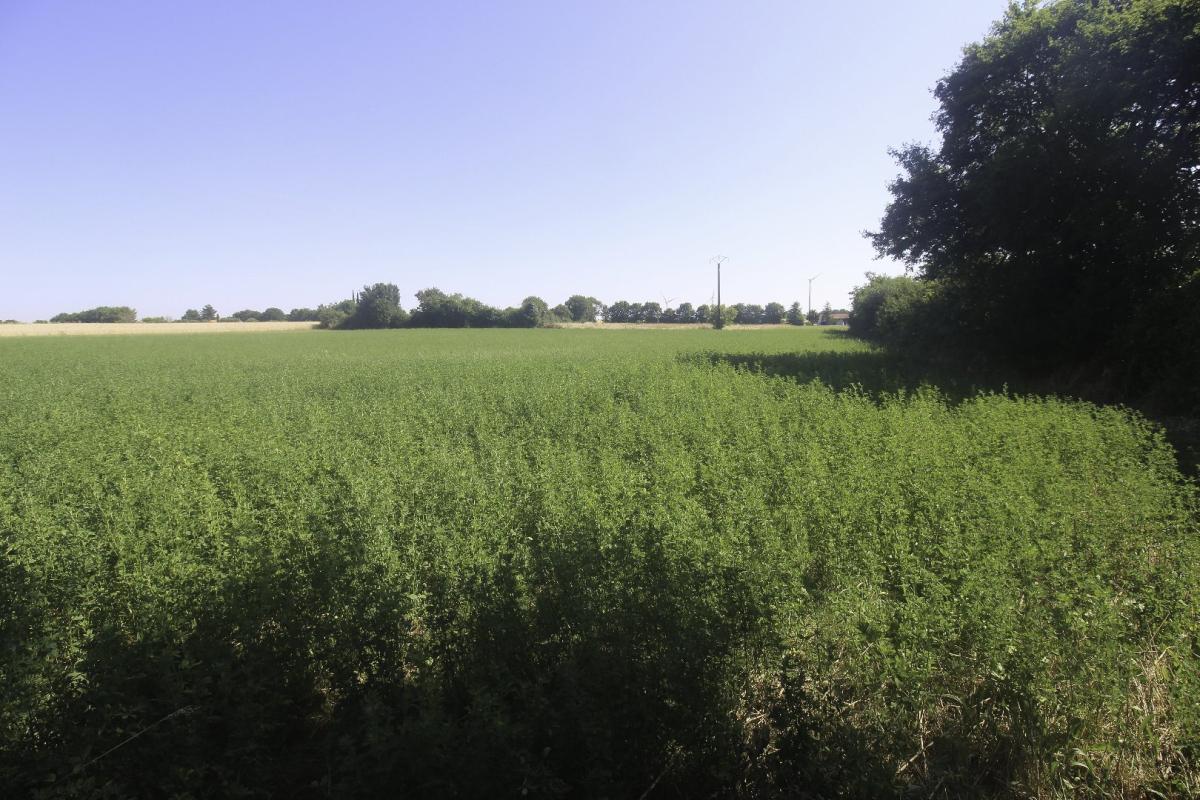 terrain a batir in Nachamps, Charente-Maritime, France