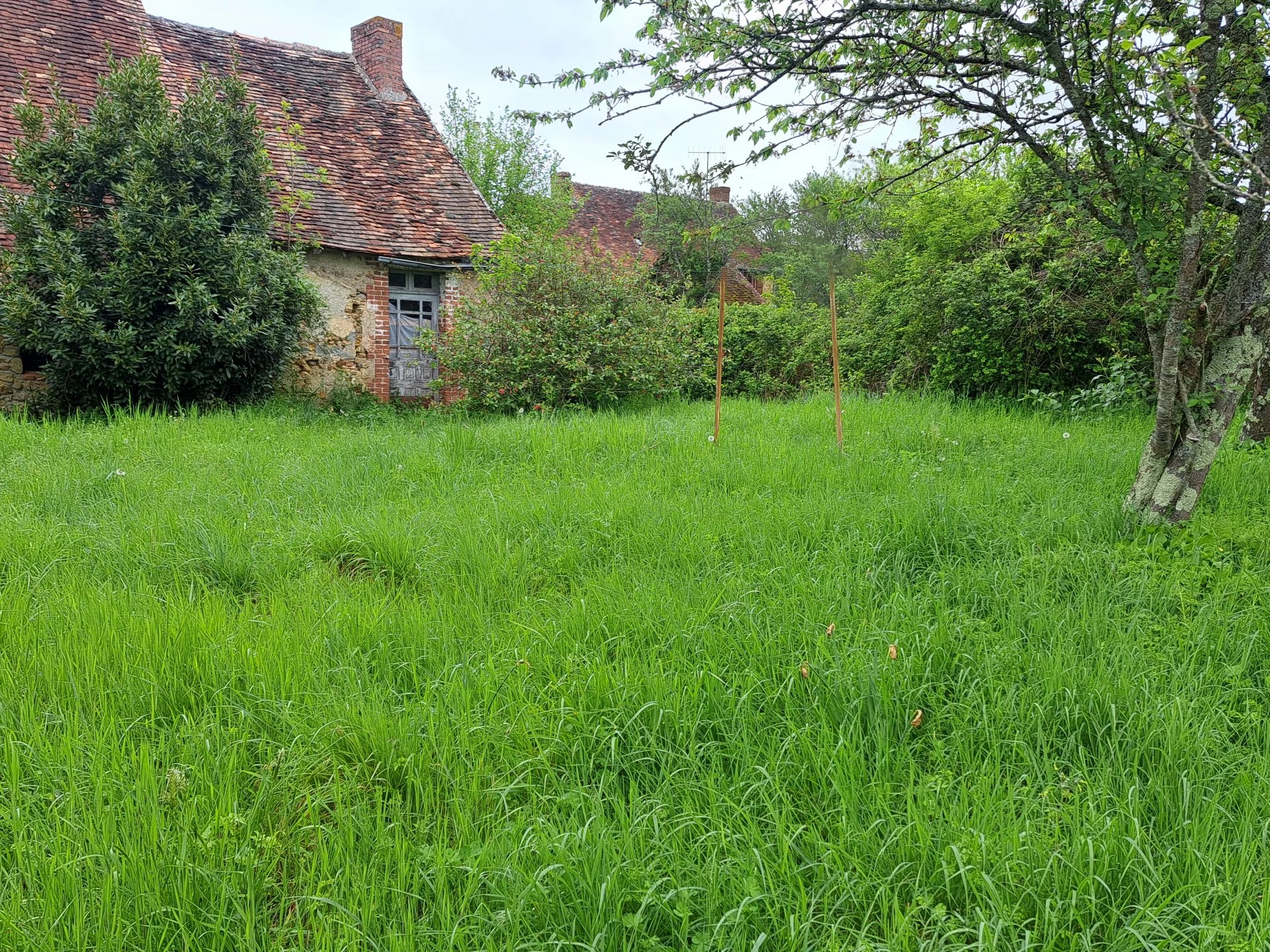 Charming home with great potential, Centre – France – BVI74980