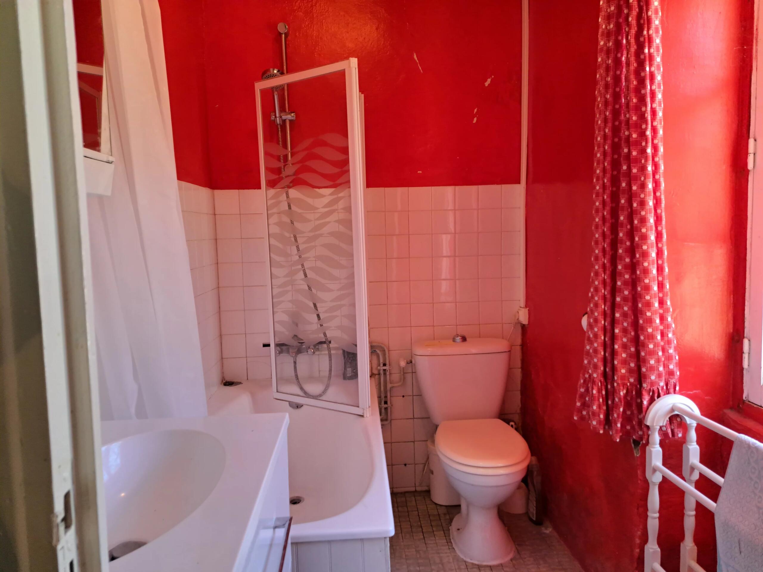 Charming home with great potential, Centre – France – BVI74980