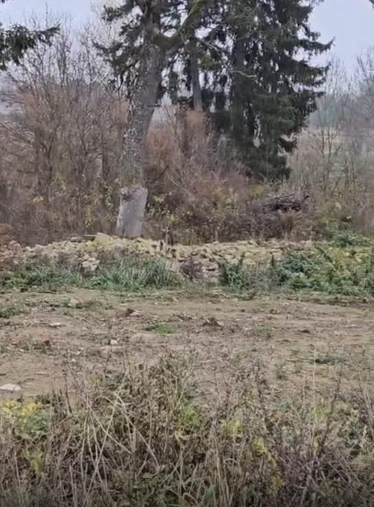 Land for Sale in the quiet and peaceful village of Ościęcin, Zaleszczyce – Poland