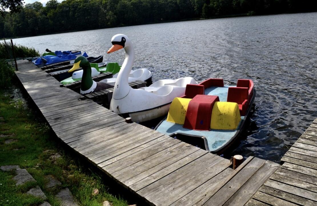 Land for Sale in the quiet and peaceful village of Ościęcin, Zaleszczyce – Poland