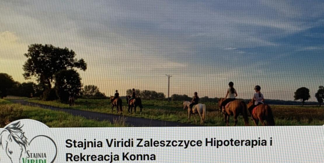 Land for Sale in the quiet and peaceful village of Ościęcin, Zaleszczyce – Poland