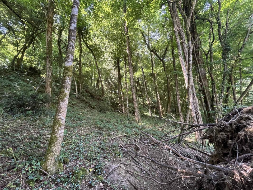 3 bedroom maison en pierres in Darnac, Haute-Vienne, France