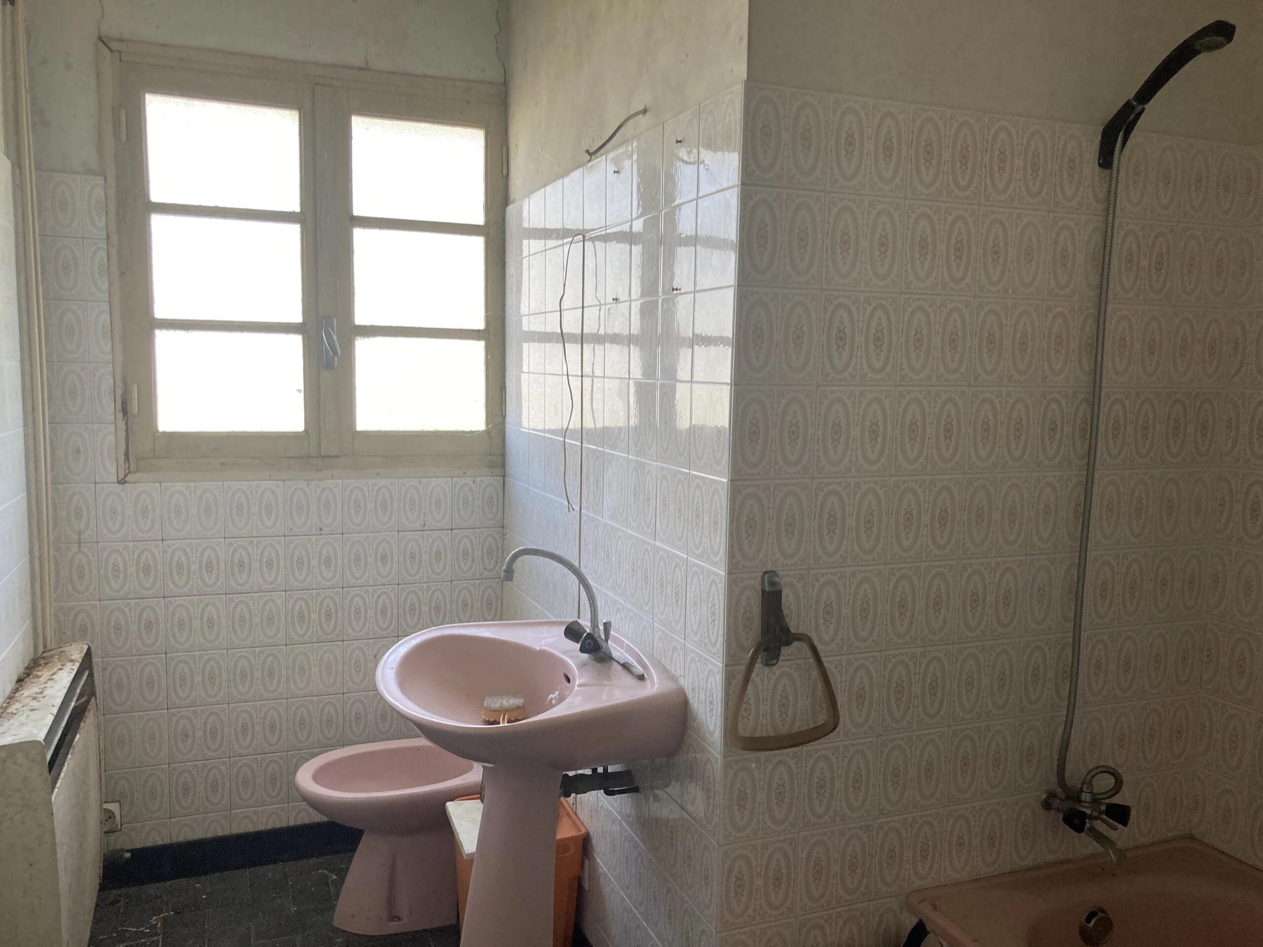 House in need of complete renovation, Poitou-Charentes – France – BVI83139