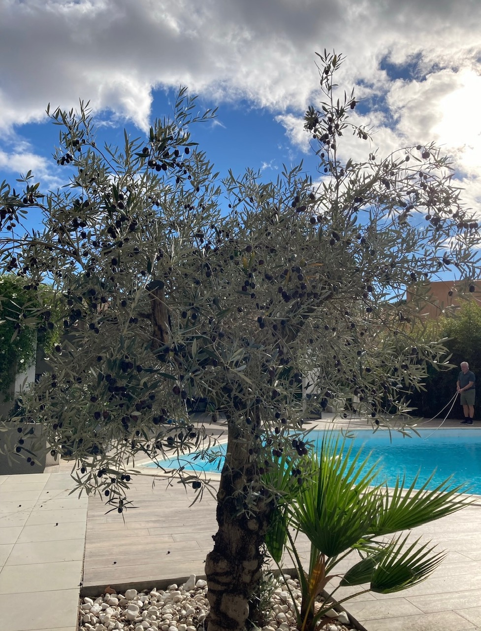 5 bedroom Detached House in Beziers, Herault, France – cb629640e