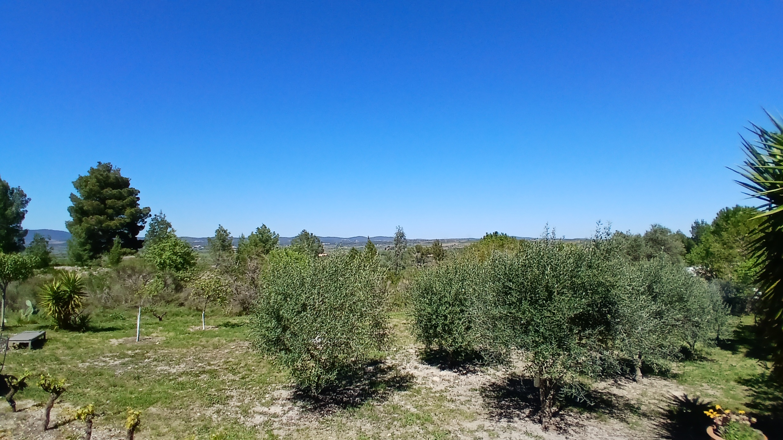 4 bedroom Detached House in Murviel Les Beziers, Herault, France – mm972000e