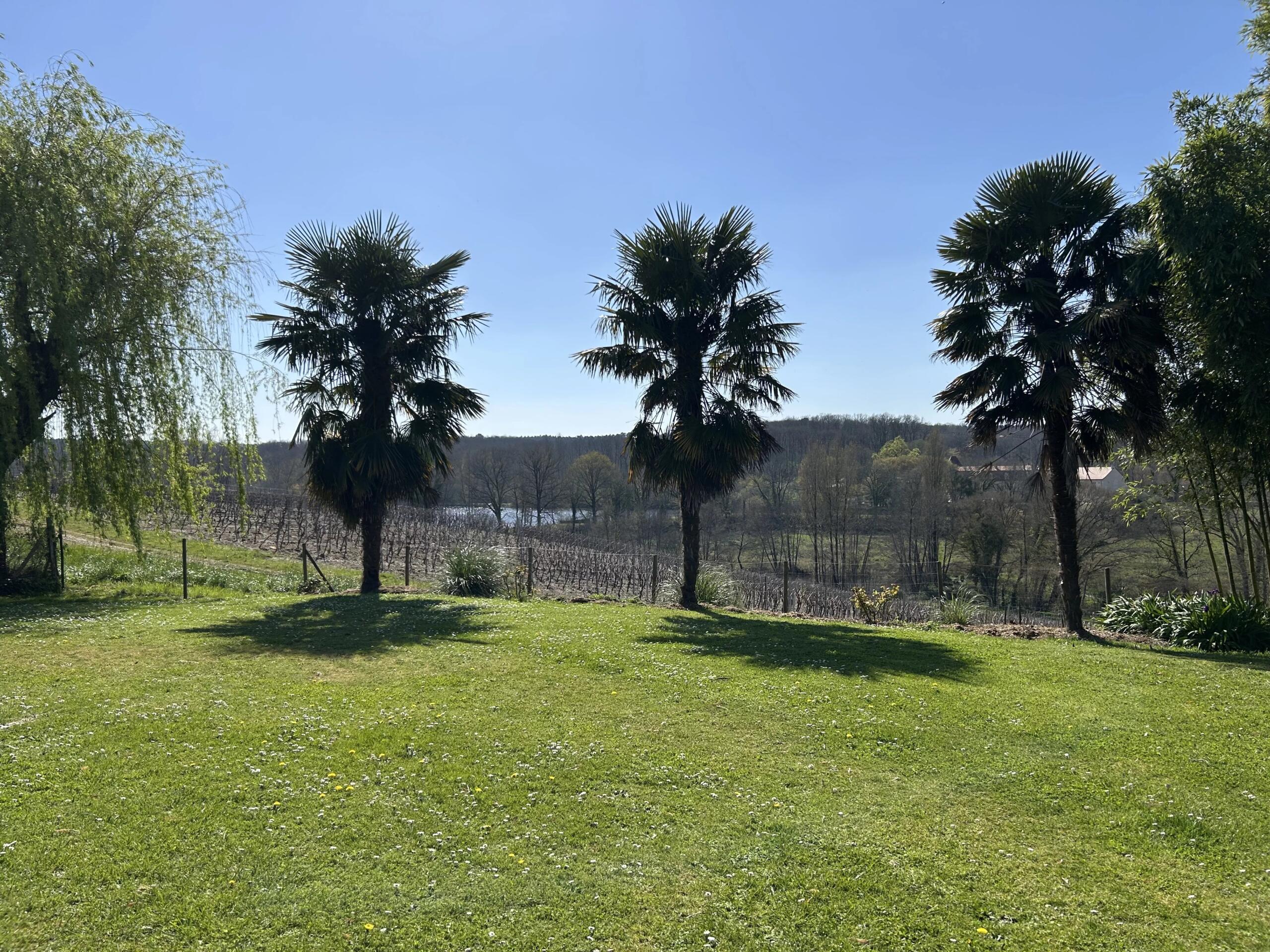 Two character properties with outbuildings and income potential, Poitou-Charentes – France – BVI85126