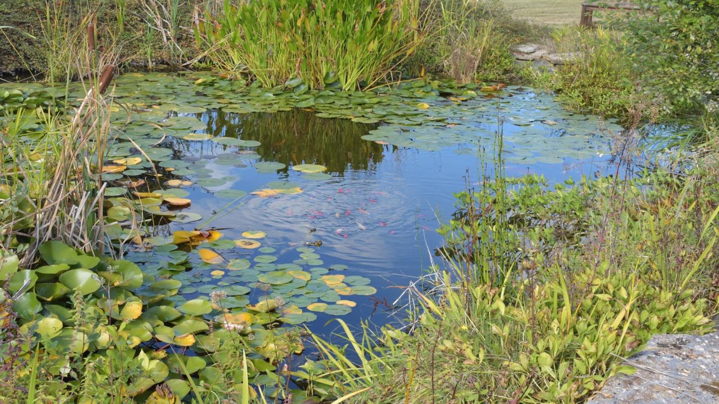 6 bedroom propriete in Gourdon, Lot, France