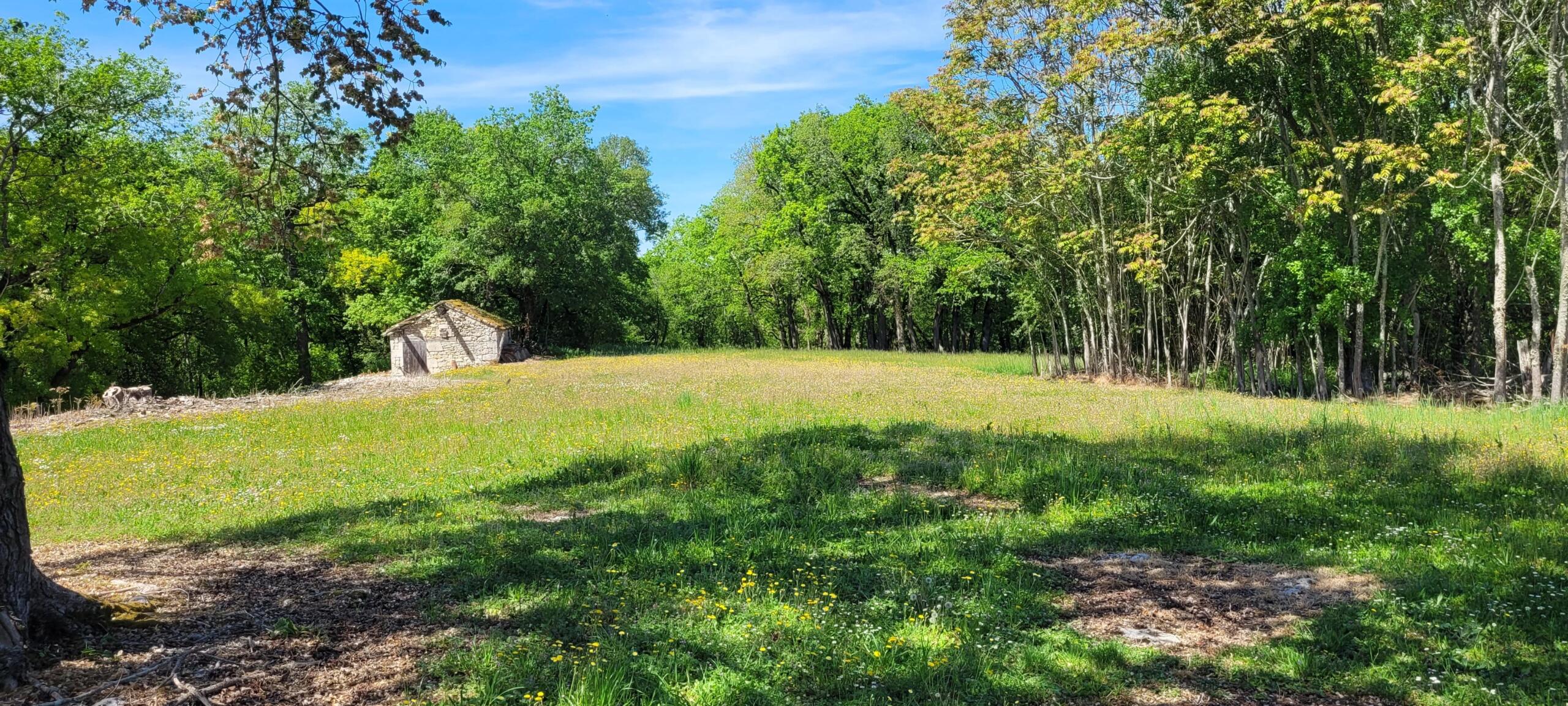 Former family stone hamlet in need of renovation , complete with barns, Midi-Pyrénées – France – BVI62350