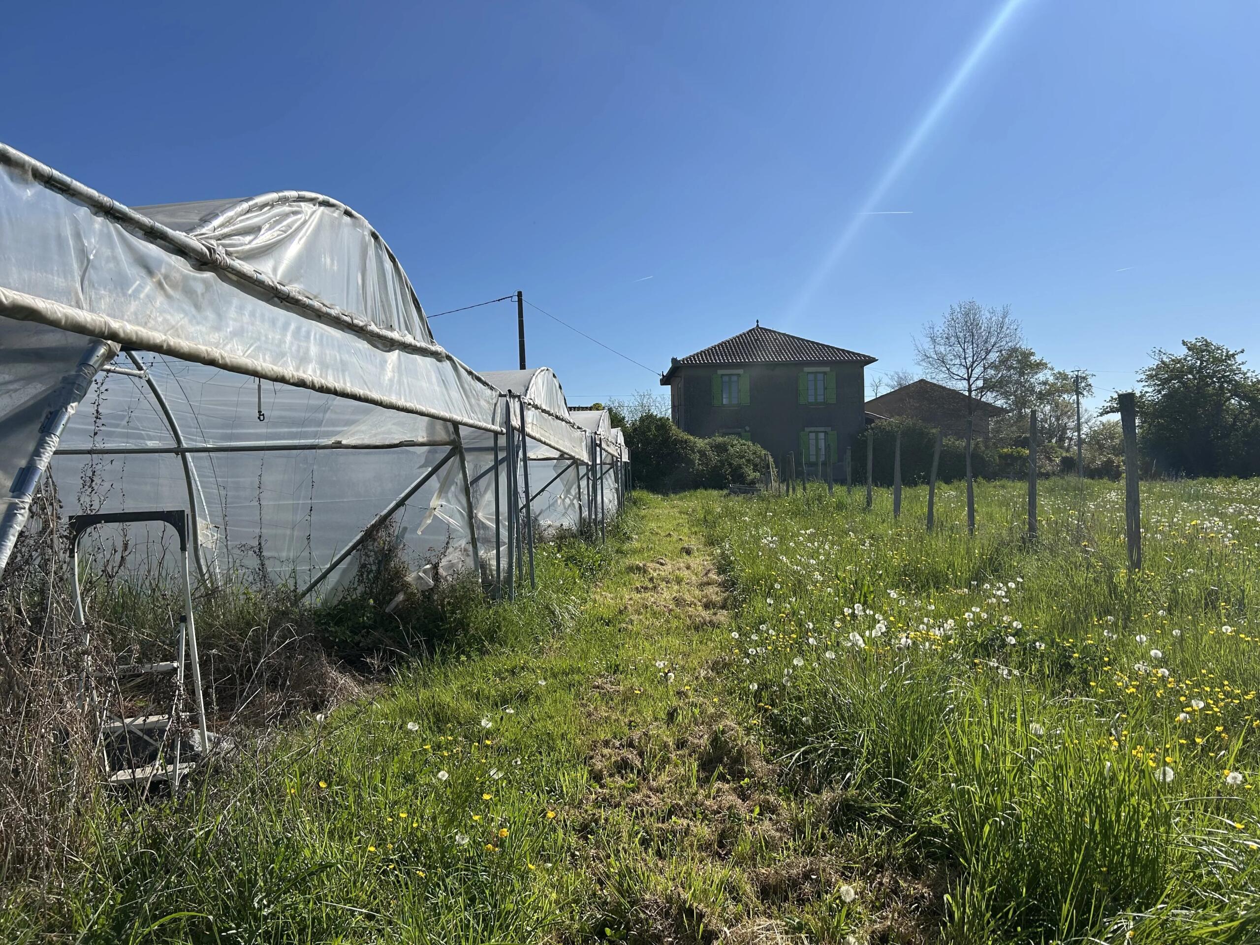 Market Gardening and Homesteading Project on the Banks of the Tarn, 1.5 hectares with Country House, Les Barthes (Tarn-et-Garonne), Midi-Pyrénées – France – BVI85273