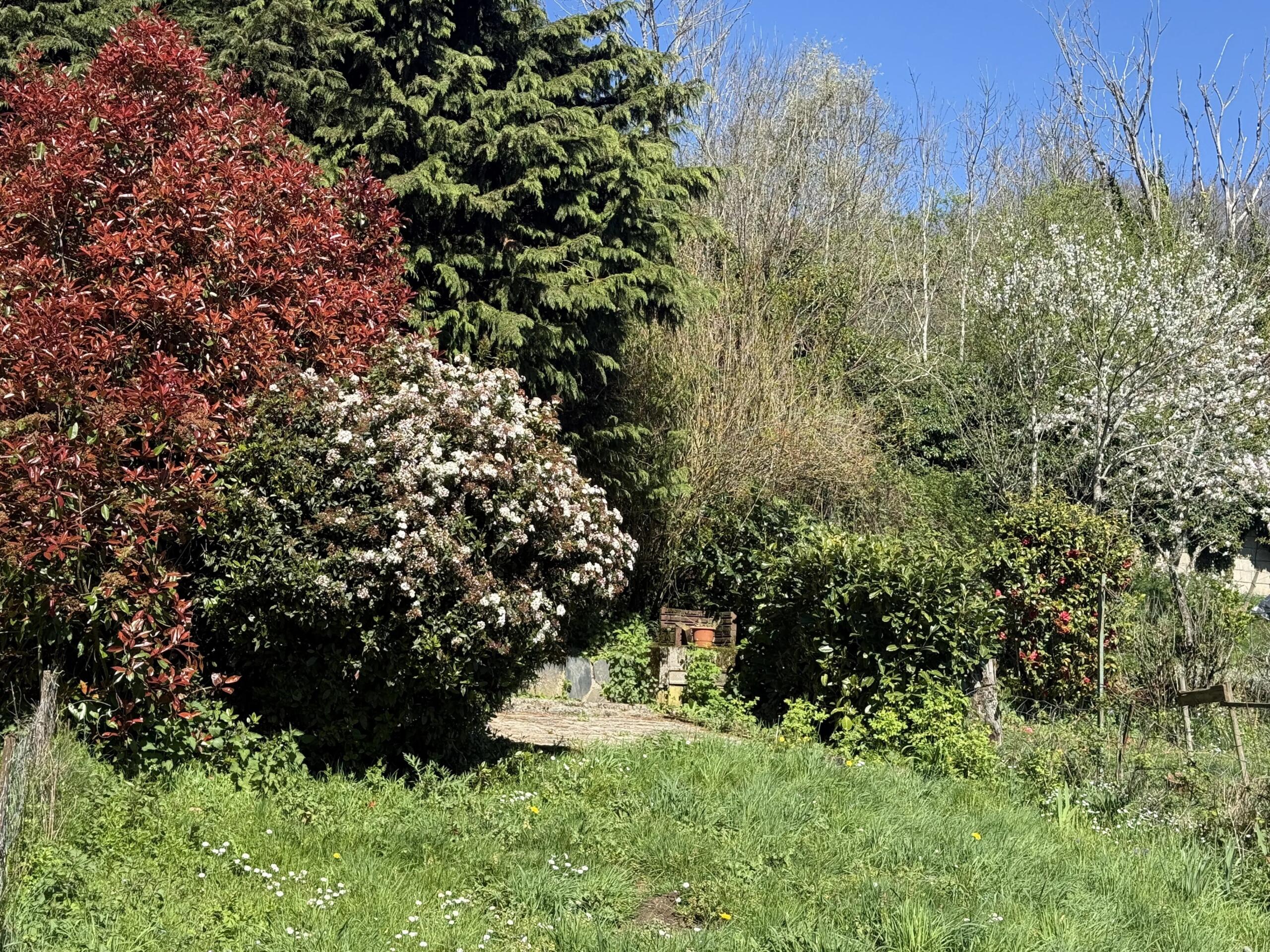 Pretty stone village house with nearby garden, Languedoc-Roussillon – France – BVI85334