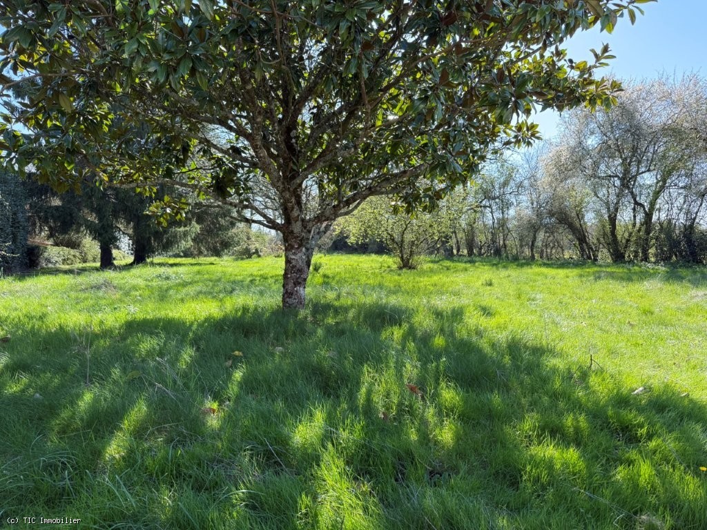 3 bedroom House in Civray, France – r7448